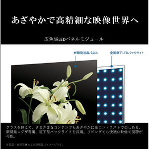 TOSHIBA/REGZA 50V型4Kチューナー内蔵4K対応液晶テレビ M550Mシリーズ 50M550M-イメージ8
