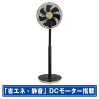 SKジャパン DCモーター搭載リビング扇風機 木目 SKJKT30FSFM