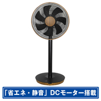 SKジャパン DCモーター搭載リビング扇風機 木目 SKJ-KT35FSF(DM)