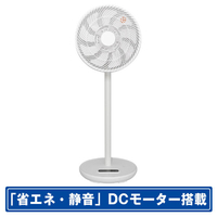 SKジャパン DCモーター搭載リビング扇風機 白 SKJ-SY30DC(W)