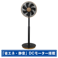 SKジャパン DCモーター搭載リビング扇風機 木目 SKJ-KT30FSF(DM)