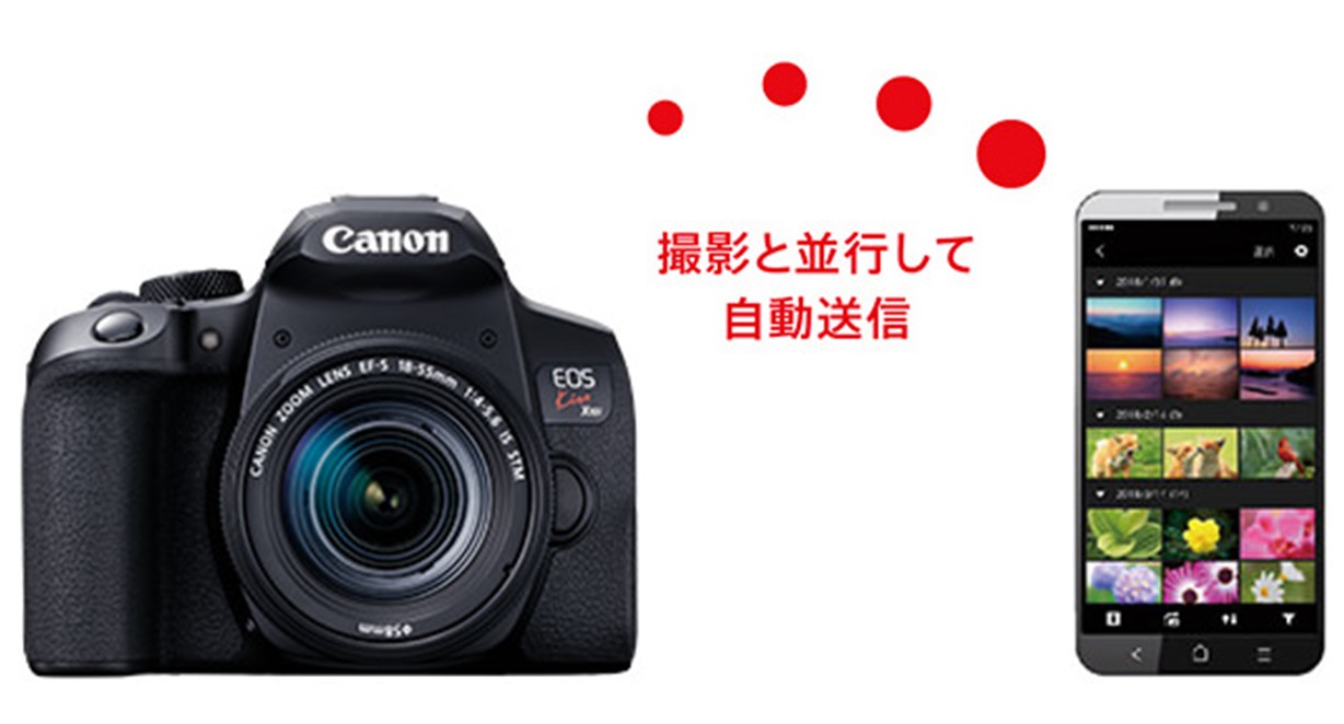 エディオンネットショップ キヤノン Kissx10iwkit デジタル一眼レフカメラ ダブルズームキット Eos Kiss X10i