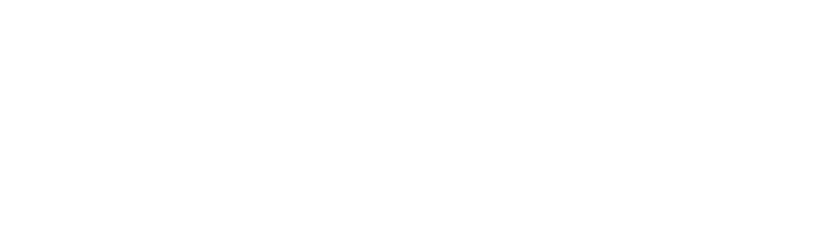 コジャケと共に、ジャンクを探しながら日銭を稼いで暮らす日々を送っていたキミ(主人公)は、ひょんなことから「New!カラストンビ部隊」と出会い、隊員「3号」として悪いタコ軍団に立ち向かうことになる。