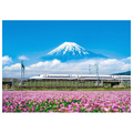 やのまん ジグソーパズル 500ピース れんげの花と富士山(静岡) 05-1016 YM051016ﾚﾝｹﾞﾉﾊﾅﾄﾌｼﾞｻﾝ