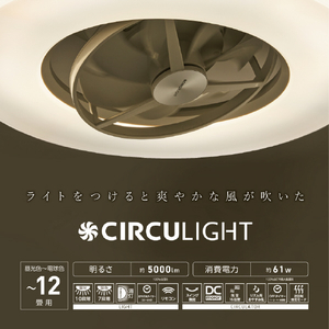 ドウシシャ ～12畳用 サーキュライト スイング機能 調光調色タイプ CIRCULIGHT KCCSWA12C-イメージ4