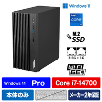 MSI デスクトップパソコン PRO PRODP18014264JP