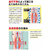 レキットベンキーザー・ジャパン おうちでメディキュット リンパケア スパッツ L F329361-228630-イメージ4
