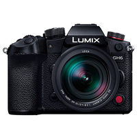 パナソニック デジタル一眼カメラ・標準ズームレンズキット LUMIX ブラック DC-GH6L