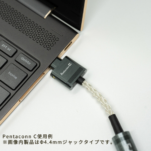 日本ディックス Pentaconn C 【USB Type C ⇔ 4．4mmジャック 変換ケーブル】 Pentaconnシリーズ NEH1-21-001-イメージ2