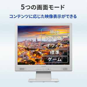 I・Oデータ 15型液晶ディスプレイ LCD-SAX151DW-イメージ9