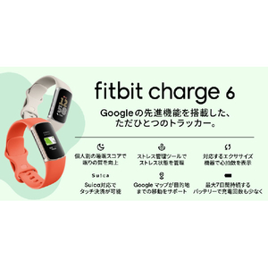 Fitbit Fitbit Charge 6 Charge 6 Obsidian / Black GA05183-AP-イメージ9