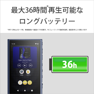 SONY デジタルオーディオ(32GB) ウォークマン ブルー NW-A306 L-イメージ5