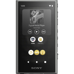 SONY デジタルオーディオ(32GB) ウォークマン グレー NW-A306 H-イメージ16