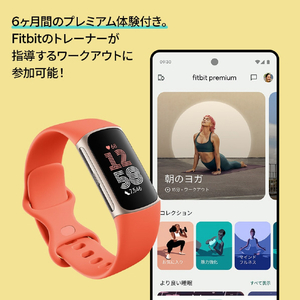 Fitbit Fitbit Charge 6 Charge 6 Coral/ Champagne Gold GA05184-AP-イメージ8