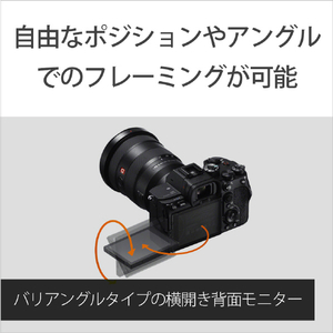 SONY デジタル一眼カメラ・ボディ α7S III ブラック ILCE-7SM3-イメージ10