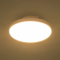 ニトリ LEDミニシーリングライト エントラ 電球色(60L) ホワイト LEDﾐﾆｼ-ﾘﾝｸﾞﾗｲﾄ ｴﾝﾄﾗ 60L