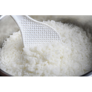 石崎電機 低糖質炊飯器 ホワイト SRC-500PW-イメージ3