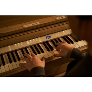 ローランド 電子ピアノ LXシリｰズ ライトオーク LX-5-LAS-イメージ9