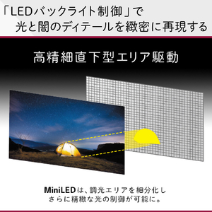LGエレクトロニクス 75V型4Kチューナー内蔵4K対応液晶テレビ 75QNED90JQA-イメージ3