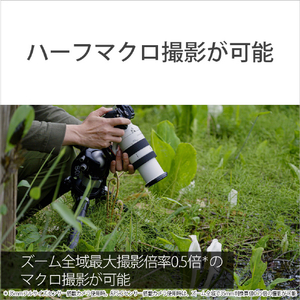 SONY デジタル一眼カメラα[Eマウント]用レンズ FE 70-200mm F4 Macro G OSS II SEL70200G2-イメージ5