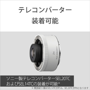 SONY デジタル一眼カメラα[Eマウント]用レンズ FE 70-200mm F4 Macro G OSS II SEL70200G2-イメージ7
