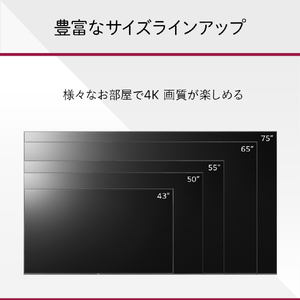 LGエレクトロニクス 75V型4Kチューナー内蔵4K対応液晶テレビ 75UQ9100PJD.AJLG-イメージ2