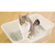 ライオン 獣医師開発 ニオイをとる砂専用 猫トイレ 1個 FC888PM-イメージ2