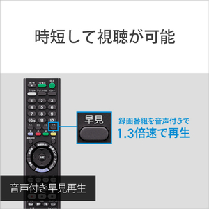 SONY 2TB HDD内蔵ブルーレイレコーダー BDZ-ZW2800-イメージ9