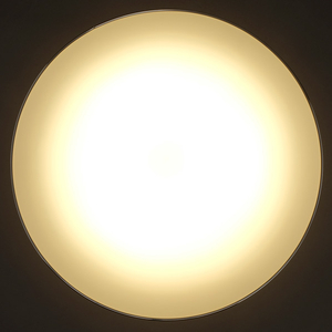 アイリスオーヤマ ～12畳用 LEDシーリングライト CL12DL-MU-イメージ3