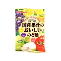 早川製菓 国産果汁のおいしいのど飴 90g FCN2316