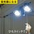 ムサシ 14W×2灯 フリーアーム式LEDセンサーライト RITEX LED-AC2028-イメージ14