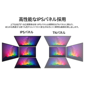 JAPANNEXT 10．5型液晶ディスプレイ ブラック JN-MD-IPS105FHDPR-イメージ3
