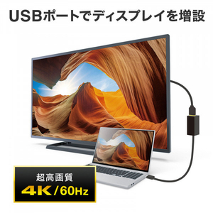 サンワサプライ USB Type-Cハブ付き HDMI変換アダプタ ブラック USB-3TCH35BK-イメージ9