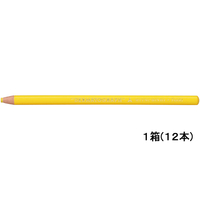 三菱鉛筆 油性ダーマトグラフ 黄 12本入 FC713PPK7600.2
