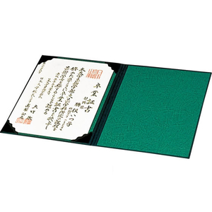 ナカバヤシ 証書ファイル 布クロス貼り A4判 緑 F862966-FSH-A4G-イメージ2