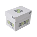 APP カラーコピー用紙 グリーン A4 500枚×5冊 1箱(500枚×5冊) F173930CPG001