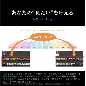 TOSHIBA/REGZA 65V型4Kチューナー内蔵4K対応液晶テレビ M550Mシリーズ 65M550M-イメージ17