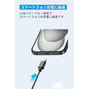 Anker Charger(12W, Built-In 1．5m USB-C ケーブル) ブラック A2059N11-イメージ3