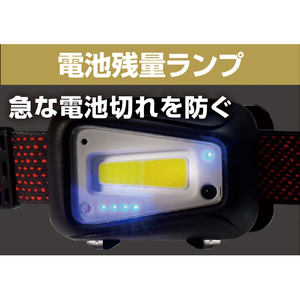 エルパ LEDヘッドライト DOP-HD720T-イメージ9