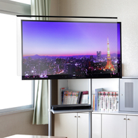 ニデック 大型液晶テレビ保護パネル(65型サイズ対応) ワイドガード C2AWGE20653352
