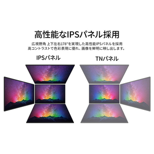 JAPANNEXT 24型液晶ディスプレイ ブラック JN-IPS24WUXGAR-C-イメージ3