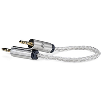 iFI Audio 4．4mm-4．4mm バランスケーブル 4.4MMTO4.4MM-CABLE