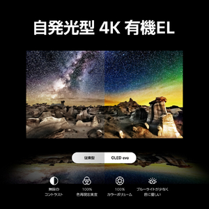 LGエレクトロニクス 48V型4Kチューナー内蔵4K対応有機ELテレビ OLED48C3PJA-イメージ3
