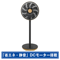 SKジャパン DCモーター搭載リモコン付リビング扇風機 木目 SKJ-SY30DC(M)