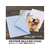 オキナ 洋封筒 洋2 カラー 5色込 50枚 100g/m2 FCC2108-ET52AS-イメージ3