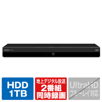 シャープ 1TB HDD内蔵ブルーレイレコーダー AQUOS ブルーレイ 2BC10EW1