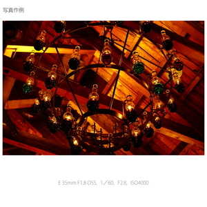 SONY 単焦点レンズ E 35mm F1.8 OSS SEL35F18-イメージ13