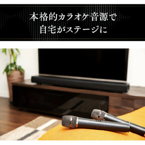 共同テレビジョン 家庭用カラオケサウンドバー KARA×KARA KARA-A2023-イメージ6