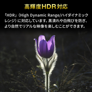 サンワサプライ 4K・HDR・HDCP2．2対応HDMI切替器(2入力・1出力または1入力・2出力) SW-HDR21BD-イメージ11