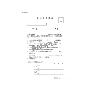 日本法令 金銭借用証書 B5 10枚 F373953-イメージ2